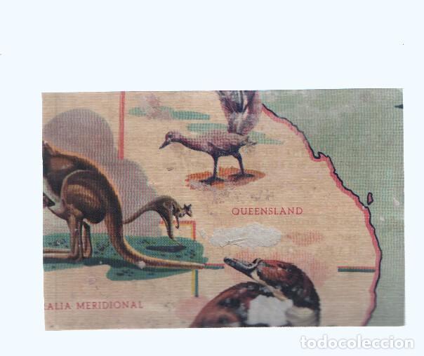 Collezionismo sportivo: Cromos: de la Selva Misteriosa a los abismos del mar: numero 260: Mapa zoologico de Oceania, parte