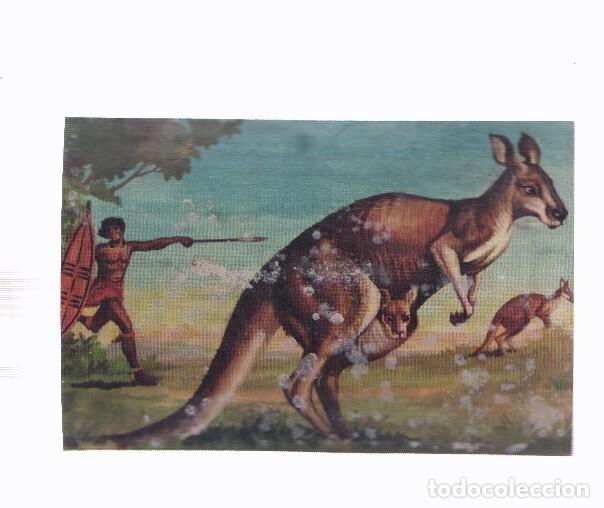 Collezionismo sportivo: Cromos: de la Selva Misteriosa a los abismos del mar: numero 267: Huyendo a grandes saltos