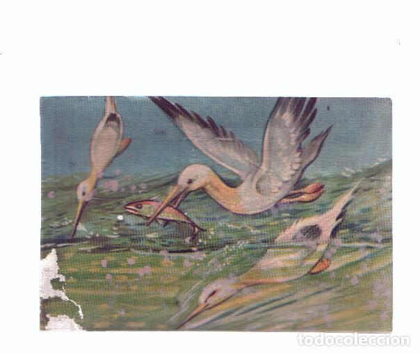 Collezionismo sportivo: Cromos: de la Selva Misteriosa a los abismos del mar: numero 279: El divertido pescador
