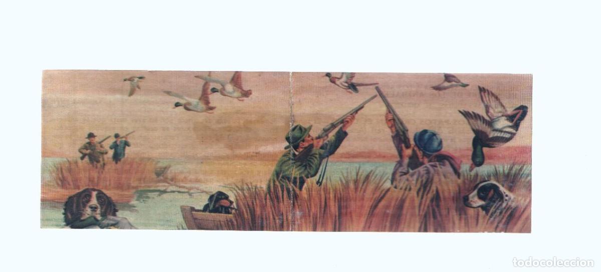 Collezionismo sportivo: Cromos: de la Selva Misteriosa a los abismos del mar: numero 048-049: Los patos cruzan el cielo