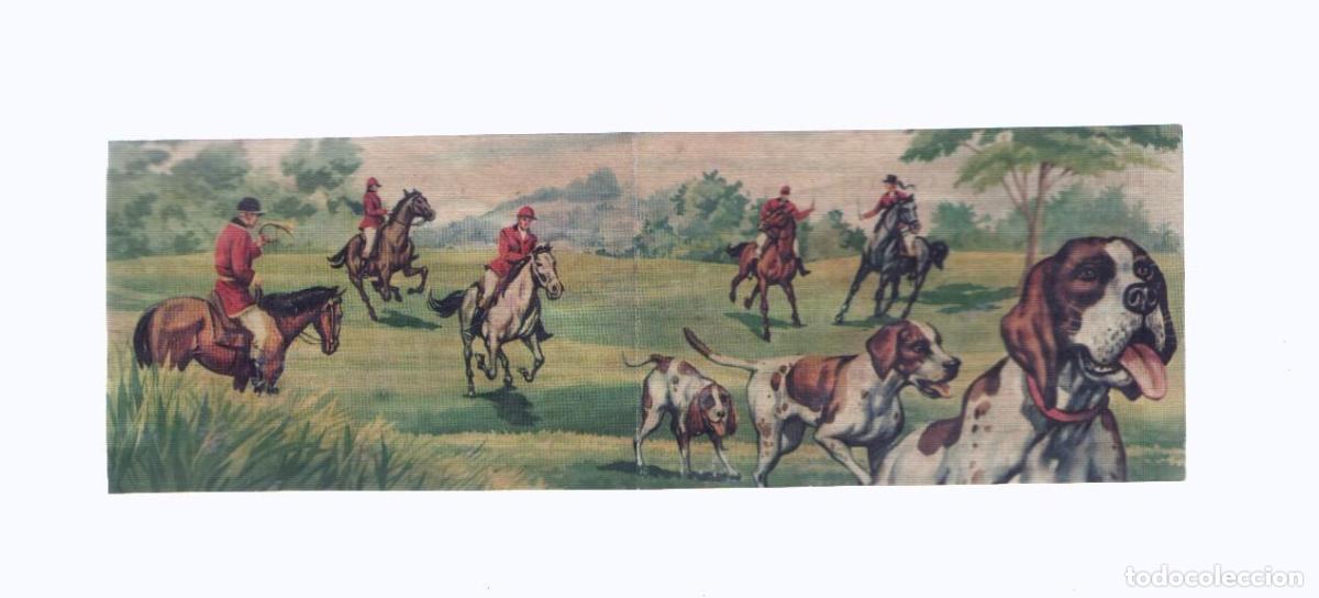 Collezionismo sportivo: Cromos: de la Selva Misteriosa a los abismos del mar: numero 030-031: Trompas de caza en el bosque