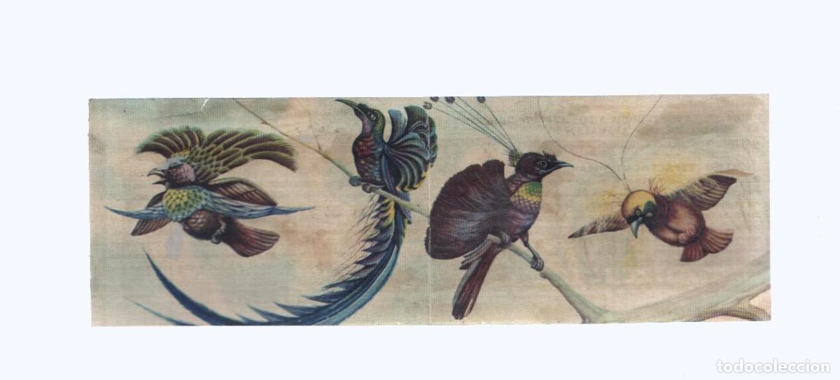 Collezionismo sportivo: Cromos: de la Selva Misteriosa a los abismos del mar: numero 265-266: Espectaculo maravillos