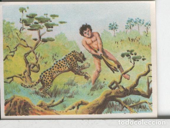 Colecionismo desportivo: Cromos: Aventuras de Jorge, el Peque&ntilde;o Tarzan, autor Gigarpe numero 018 - Varios
