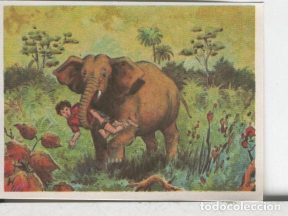 Coleccionismo deportivo: Cromos: Aventuras de Jorge, el Peque&ntilde;o Tarzan, autor Gigarpe numero 006 - Varios