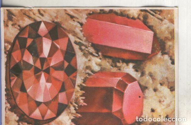 Collezionismo sportivo: Cromos: Historia Natural numero 075 - Varios