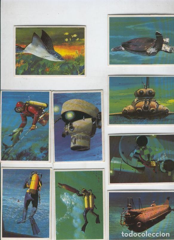 Collezionismo sportivo: Cromos Dunkin: El Mar, serie de 12 cromos - Varios