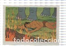 Collezionismo sportivo: Cromo Tarzan de Editorial Fher numero 135