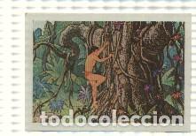 Collezionismo sportivo: Cromo Tarzan de Editorial Fher numero 86