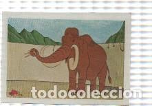 Collezionismo sportivo: Cromo Tarzan de Editorial Fher numero 126