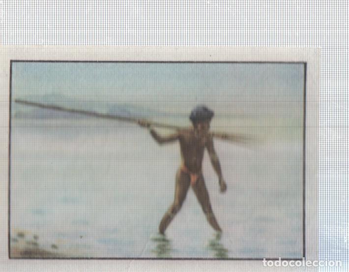Colecionismo desportivo: Cromo Nestle numerado 033: pesca indigena