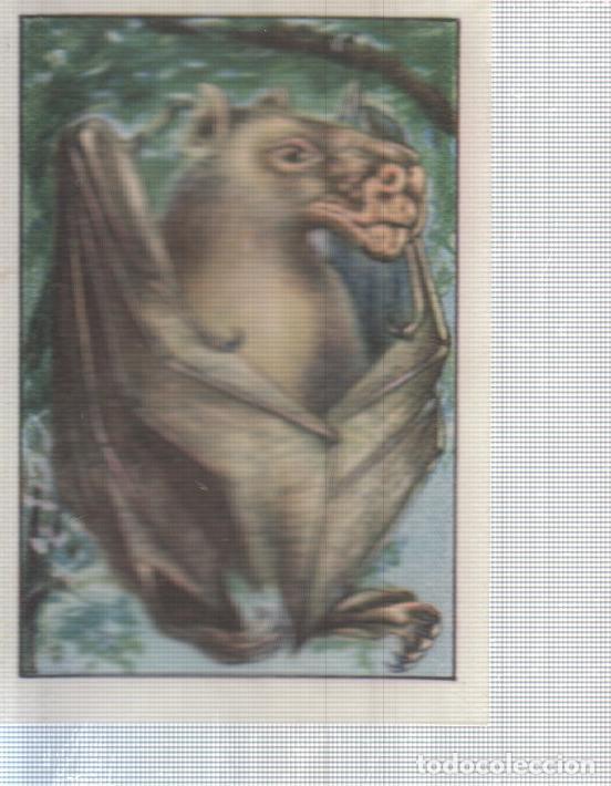 Coleccionismo deportivo: Cromo Nestle numerado 061: Ave nocturna