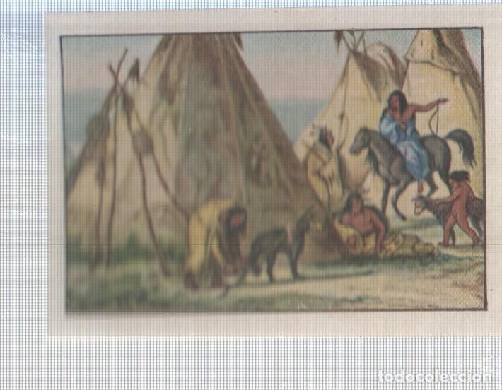 Coleccionismo deportivo: Cromo Nestle numerado 103: Indigena americano