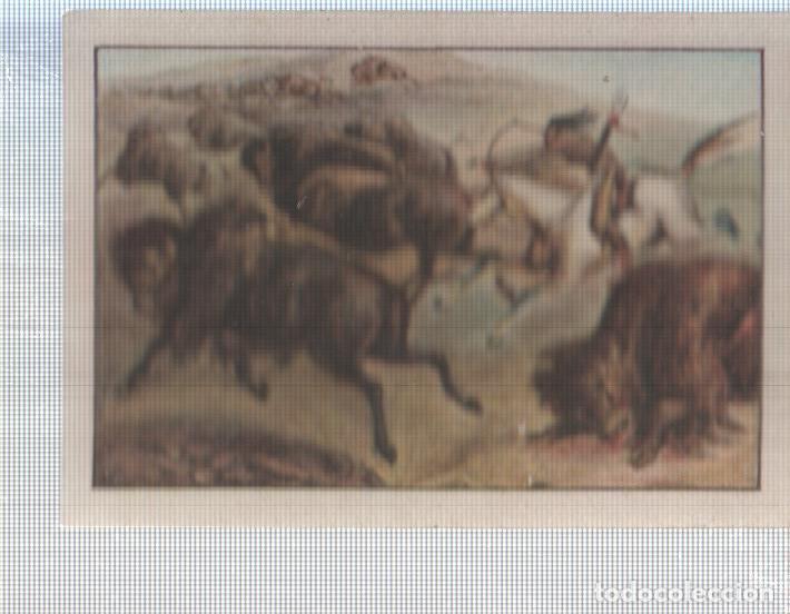 Coleccionismo deportivo: Cromo Nestle numerado 108: Indigena americano