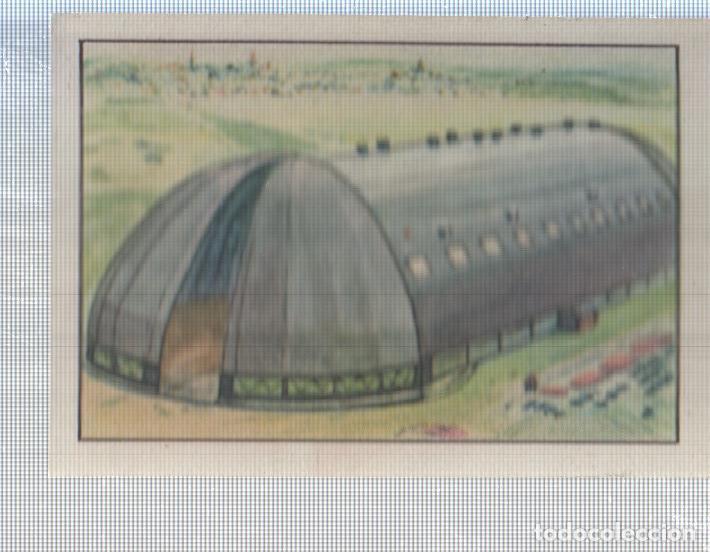 Collezionismo sportivo: Cromo Nestle numerado 116: Hangar