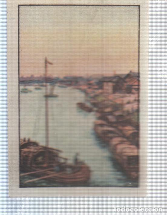 Collectionnisme sportif: Cromo Nestle numerado 125: Shampag