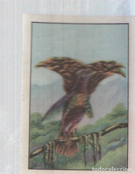 Collectionnisme sportif: Cromo Nestle numerado 146: Ave