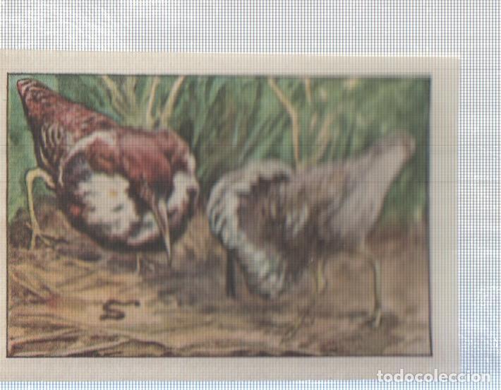 Collectionnisme sportif: Cromo Nestle numerado 158: Aves