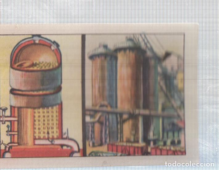 Colecionismo desportivo: Cromo Nestle numerado 175: Fabrica