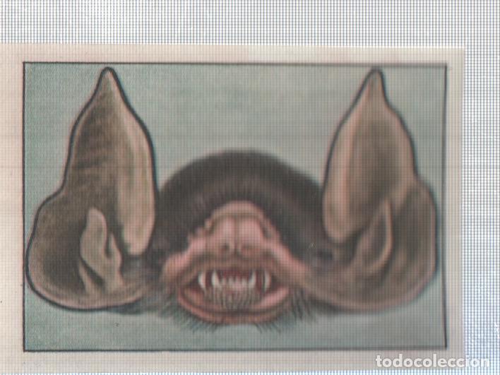 Collectionnisme sportif: Cromo Nestle numerado 235: Ave nocturna