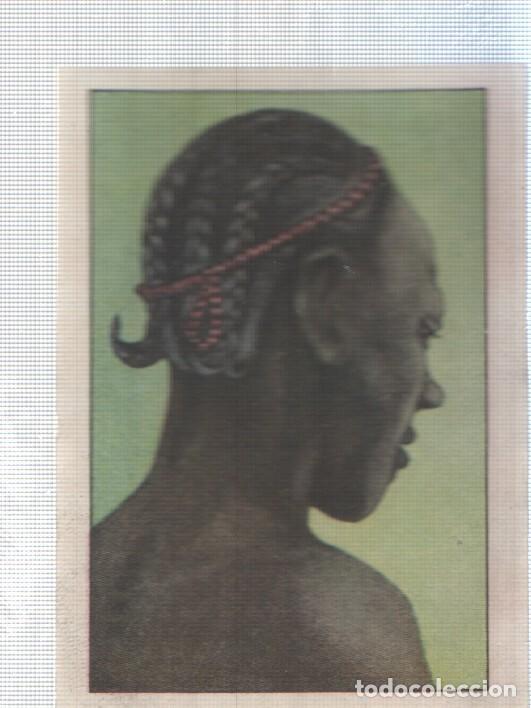 Collezionismo sportivo: Cromo Nestle numerado 272: Indigena