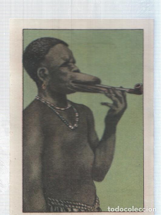 Collezionismo sportivo: Cromo Nestle numerado 271: Indigena