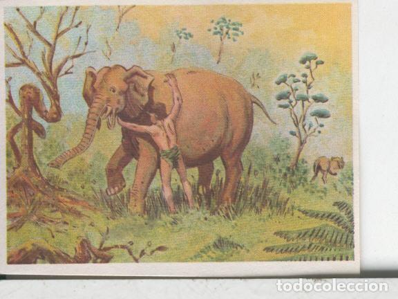 Sammelleidenschaft Sport: Cromos: Aventuras de Jorge, el Peque&ntilde;o Tarzan, autor Gigarpe numero 045 - Varios