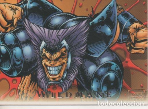 Collectionnisme sportif: Cromo E001320: Trading Cards. Wildmane and Bezerkers n&ordm; 44 - Dan Fraga