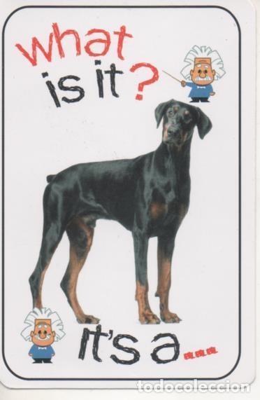 Collectionnisme sportif: Cromo E001676: Cards. What is it?. Dog - NULL