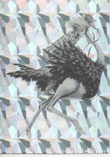 Collezionismo sportivo: Cromo E003435: Trading Card. Olivia II, n&ordm; 8 Ostrich Lady - Olivia De Berardinis