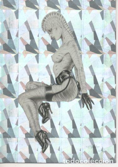 Sports collectibles: Cromo E003470: Trading Card. Olivia II, n&ordm; 52 Zebra Lady - Olivia De Berardinis