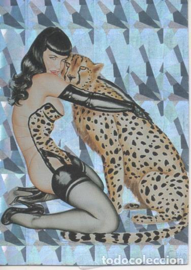 Sports collectibles: Cromo E003429: Trading Card. Olivia II, n&ordm; 2 Betty's Cat - Olivia De Berardinis