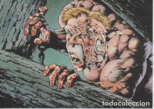 Collectionnisme sportif: Cromo E003212: Trading Card, Master of the Macabre, n&ordm; 83 Vitus and Hjalmar - Wrightson