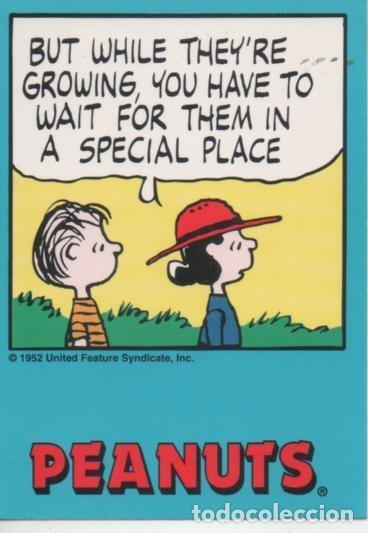 Collectionnisme sportif: Cromo E003334: Trading Card. Peanuts Classics, n&ordm; 78 June 12, 1979 - M. Schulz