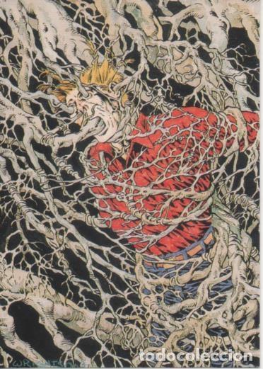 Sammelleidenschaft Sport: Cromo E003161: Trading Card, Master of the Macabre, n&ordm; 17 Taproot - Wrightson