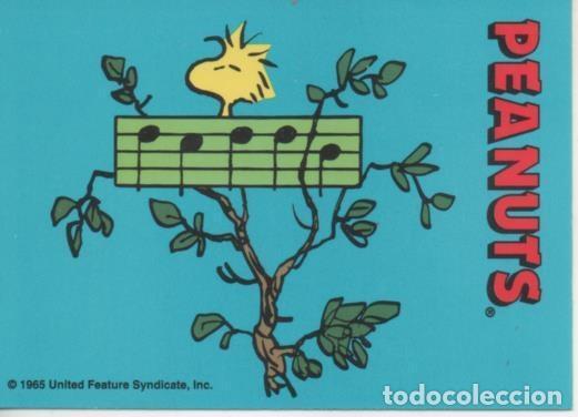 Collectionnisme sportif: Cromo E003282: Trading Card. Peanuts Classics, n&ordm; 8 August 5, 1979 - M. Schulz