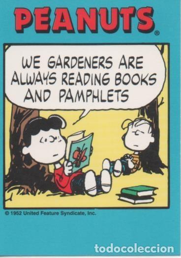 Collezionismo sportivo: Cromo E003295: Trading Card. Peanuts Classics, n&ordm; 22 June 9, 1979 - M. Schulz