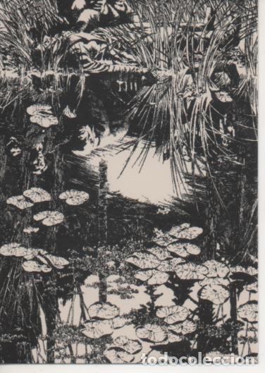 Coleccionismo deportivo: Cromo E003135: Trading Card, Frankenstein, F34 Discovery - Varios