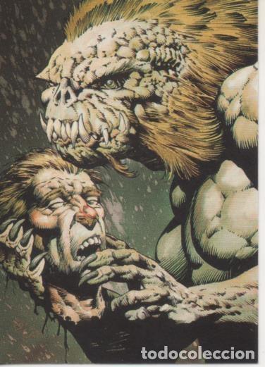 Collectionnisme sportif: Cromo E003159: Trading Card, Master of the Macabre,n&ordm; 15 Heads Up - Wrightson