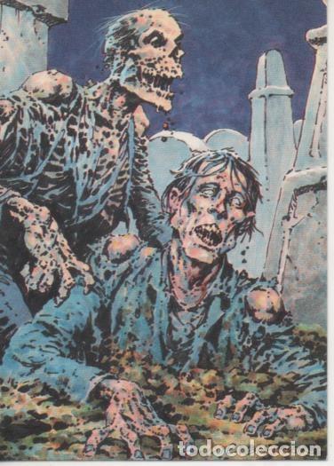 Collectionnisme sportif: Cromo E003151: Trading Card, Master of the Macabre, n&ordm; 5 After Midnight - Wrightson