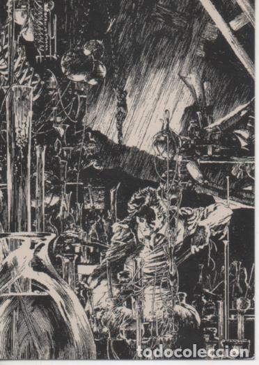 Collectionnisme sportif: Cromo E003115: Trading Card. Frankenstein, F9 The Creator - Varios