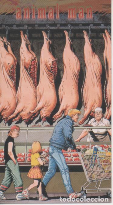 Collezionismo sportivo: Cromo E004479: Trading Card.Skybox D C Comics Vertigo, n&ordm; 25 Animal Man - Brian Bolland