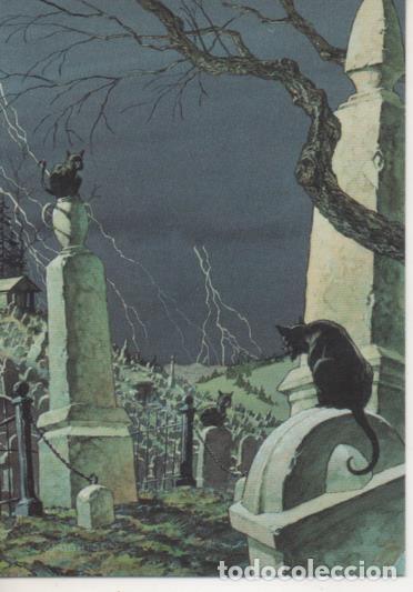 Collezionismo sportivo: Cromo E003189: Trading Card, Master of the Macabre, n&ordm; 54 Distant Thunder - Wrightson