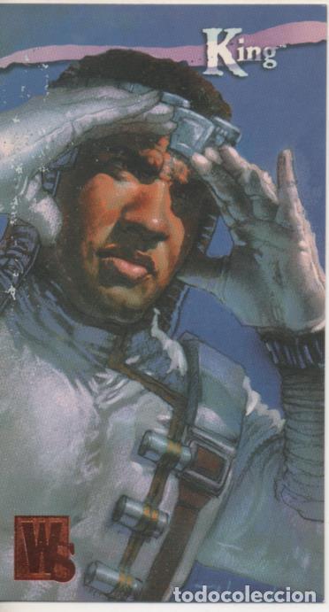 Coleccionismo deportivo: Cromo E004410: Trading Card. Wildstorm Gallery, n&ordm; 32 Isaiah King - Terese Nielsen