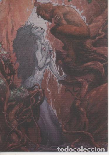 Collezionismo sportivo: Cromo E004528: Trading Card. Charles Vess, n&ordm; 23 Sunliht and Shadow - Charles Vees