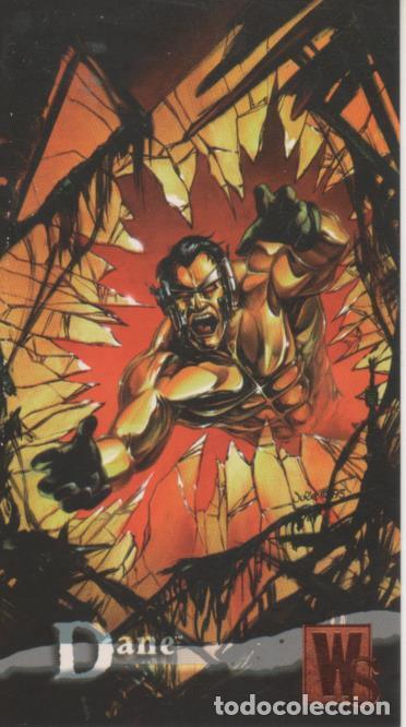 Sammelleidenschaft Sport: Cromo E004397: Trading Card. Wildstorm Gallery, n&ordm; 15 Dane - Julie Bell