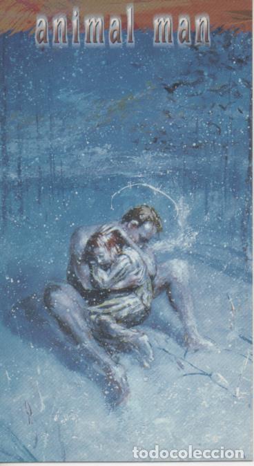 Collectionnisme sportif: Cromo E004482: Trading Card. Skybox D C Comics Vertigo, n&ordm; 29 Animal Man - George Pratt