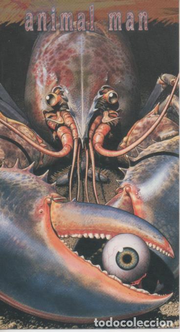 Collectionnisme sportif: Cromo E004480: Trading Card. Skybox D C Comics Vertigo, n&ordm; 27 Animal Man - Brian Bolland