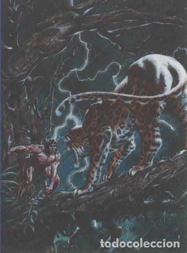 Collectionnisme sportif: Trading Car: TARZAN - JOE JUSKO, Edgar Rice Burroughs Collection: No.53 - Edgar Rice Burroughs, Joe