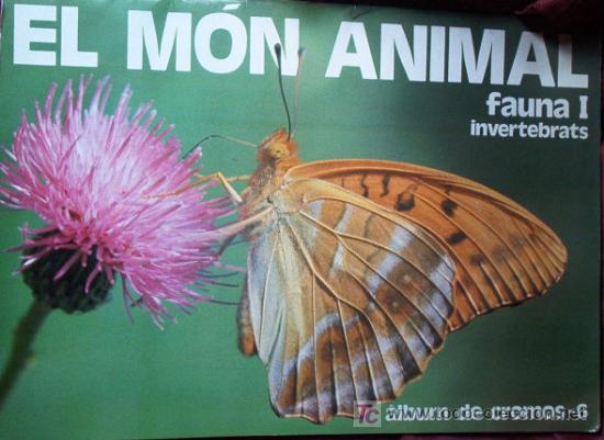 Coleccionismo &Aacute;lbumes: ALBUM INCOMPLETO El mon animal Fauna I invertebrats (1985) del diario AVUI