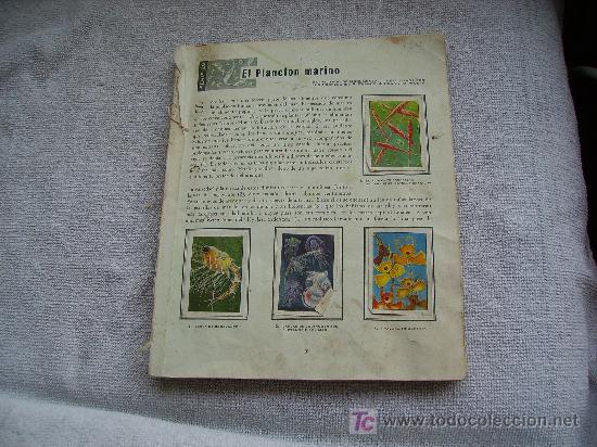 Collectable Incomplete Albums: ALBUM SIN TAPAS